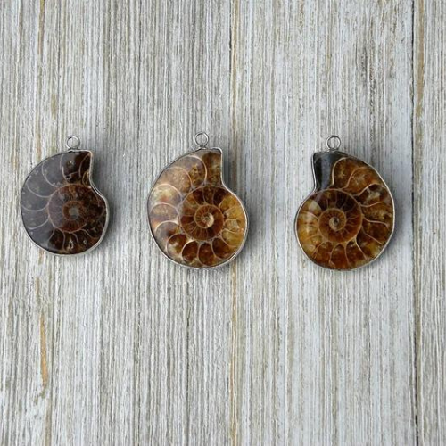 Ammonite Fossil Charm