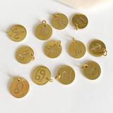 Stainless Steel Gold Zodiac Charms