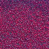 Silver-Lined Red Czech Seed Beads, Size 10/0