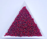 Silver-Lined Red Czech Seed Beads, Size 10/0