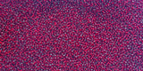 Silver-Lined Red Czech Seed Beads, Size 10/0